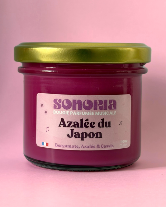 Azalée du Japon