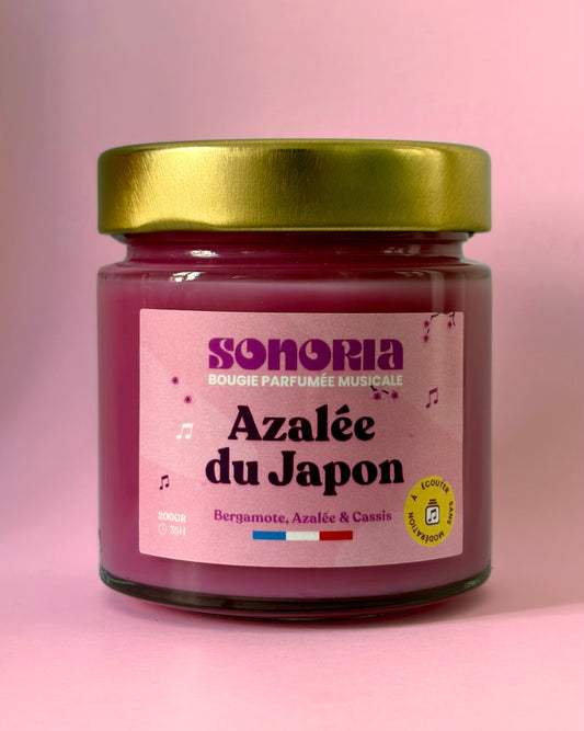 Azalée du Japon