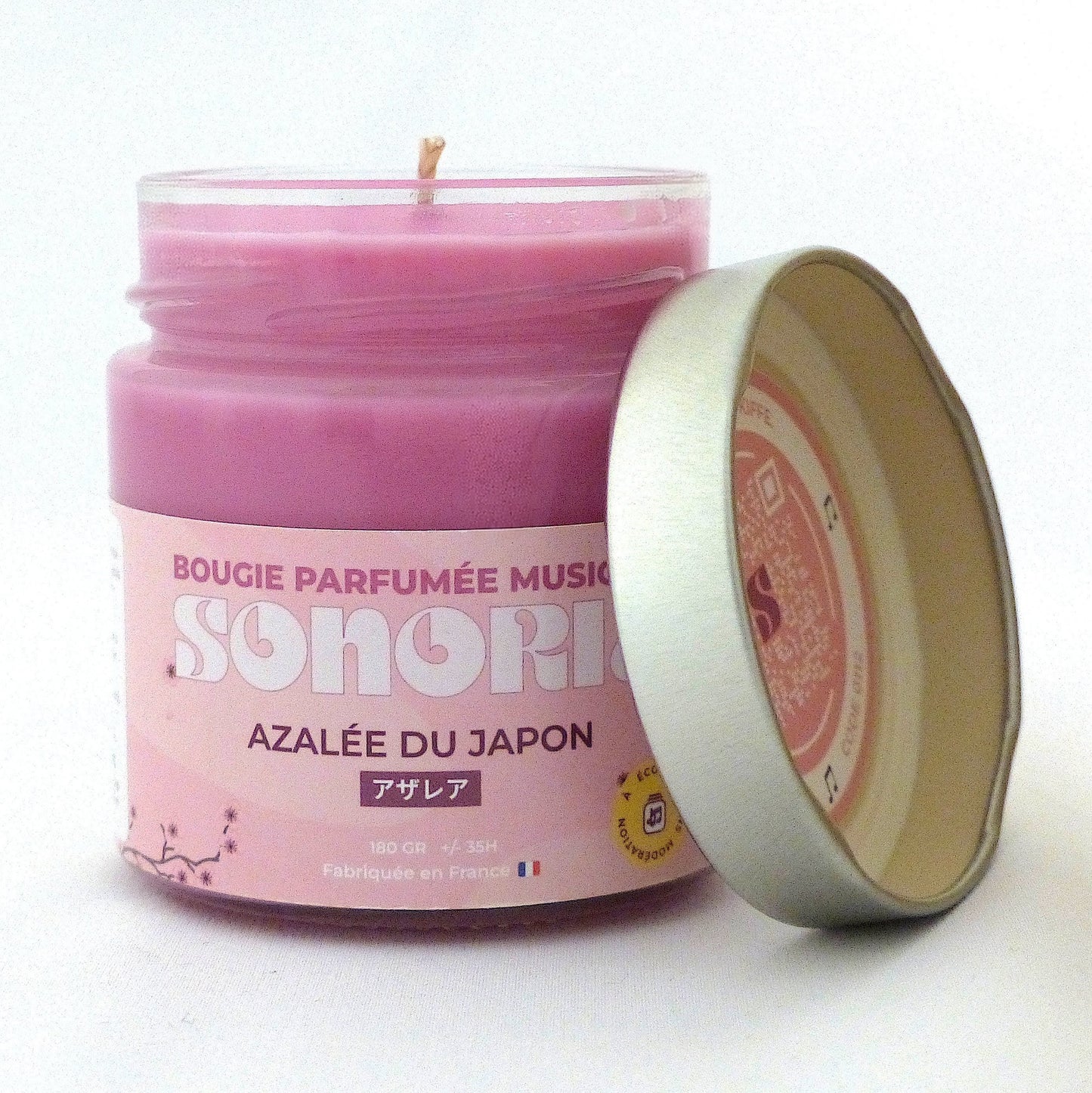Azalée du Japon
