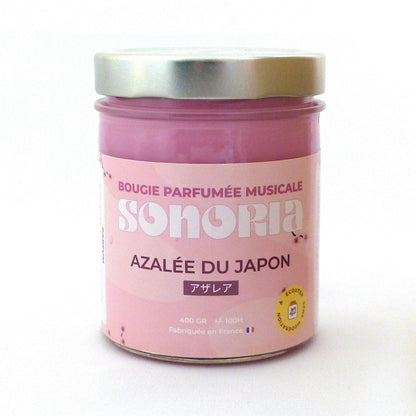 Azalée du Japon
