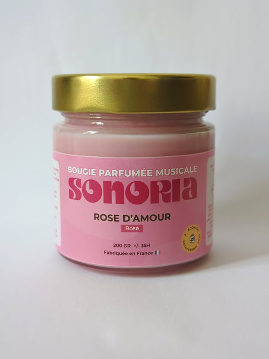 Rose d'Amour