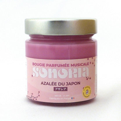 Azalée du Japon
