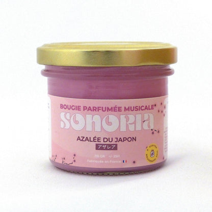 Azalée du Japon